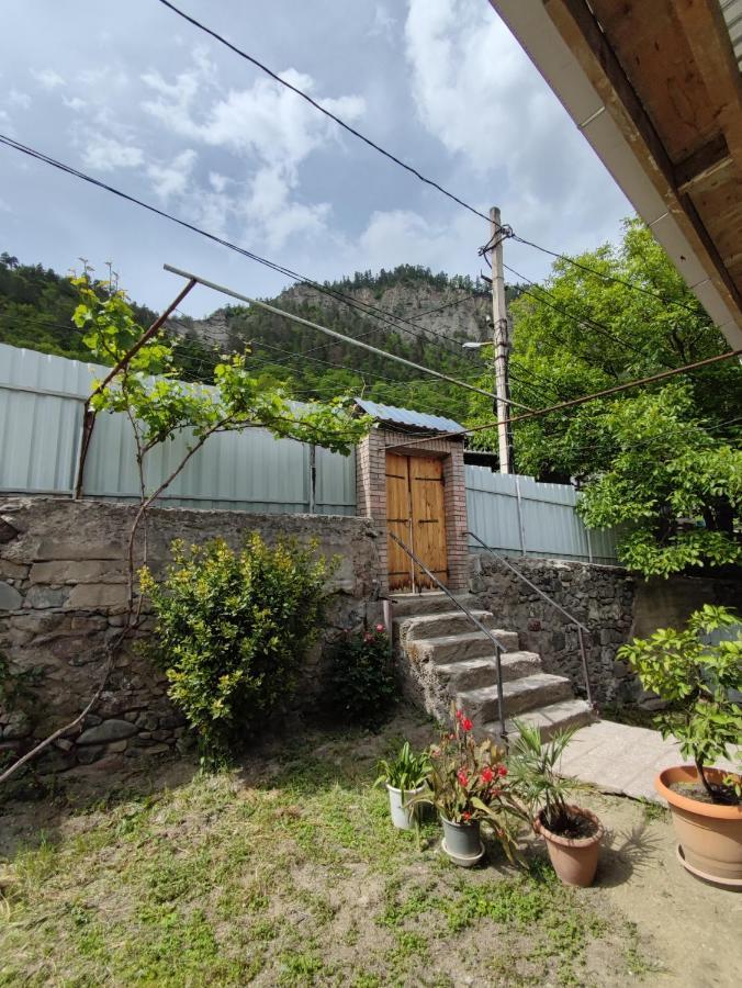 Ati Mta - Eco Hostel Borjomi Exterior foto